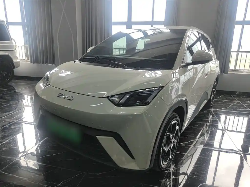 Byd Seagull 2024