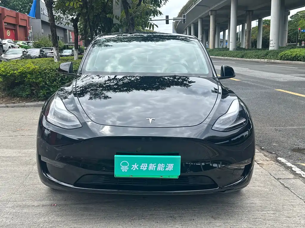 Tesla Model Y 2021
