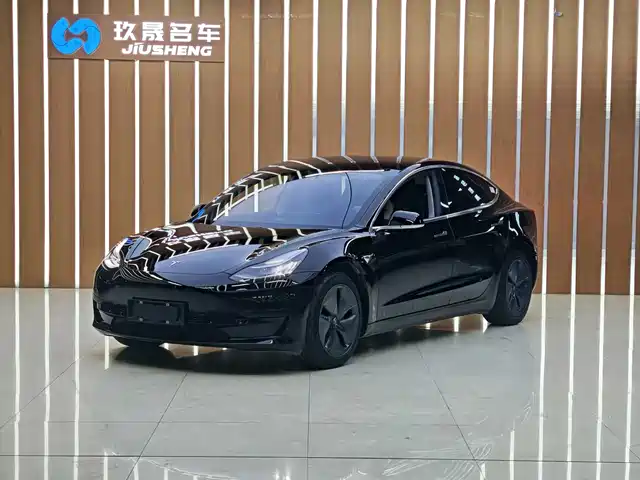 TESLA MODEL 3 2020