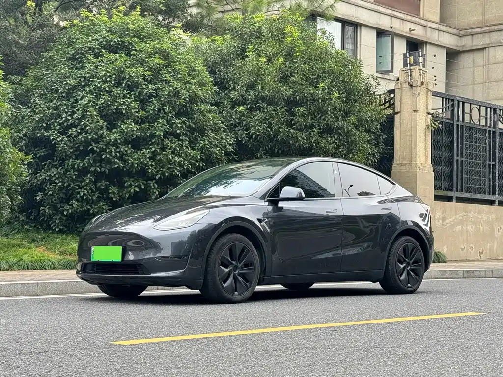 Tesla Model Y — фотографии объявления, Фото 3