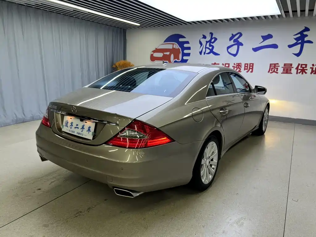 Mercedes-Benz CLS CLS 300, фото 18
