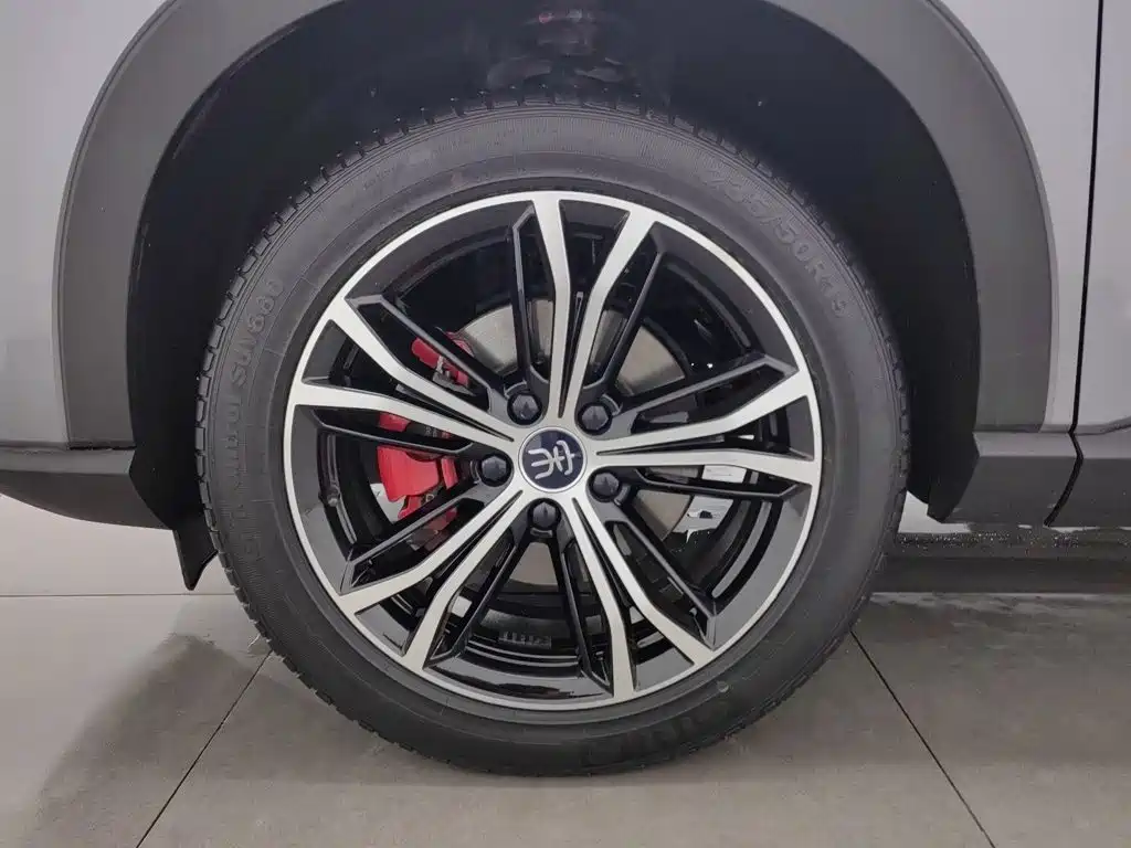 BYD PLUS — миниатюра 17