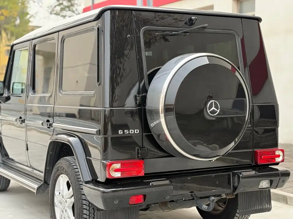 Mercedes-Benz G-Class G 2010 G 500