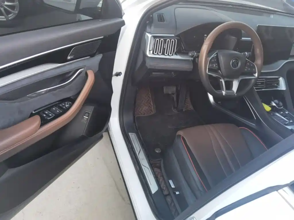 BYD PLUS — миниатюра 16