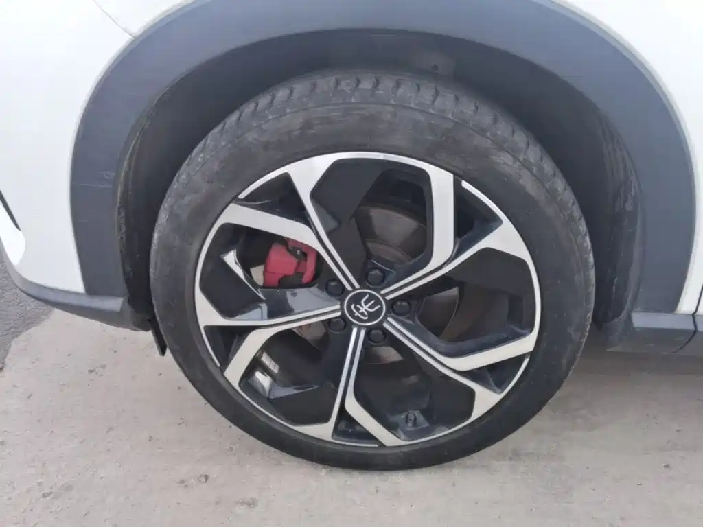 BYD PLUS — миниатюра 23