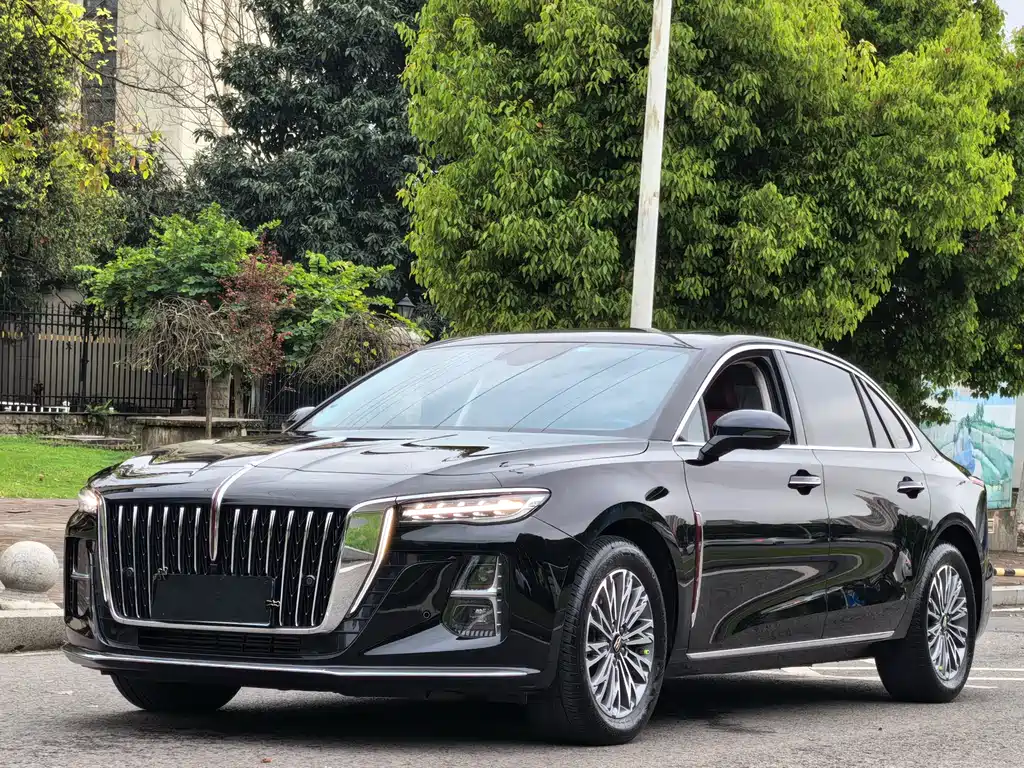 Hongqi Hongqi H5 2024