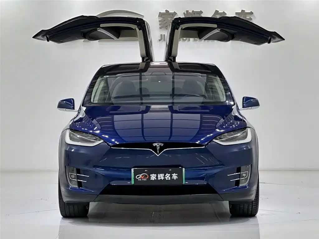 Tesla Model X 2017 Model X 100D
