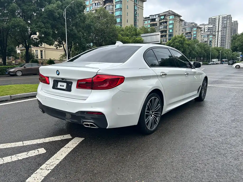 BMW 5 Series 5 2019 530Li xDrive M Sport