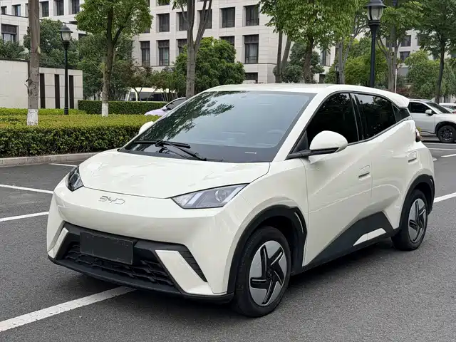 2024 BYD Seagull