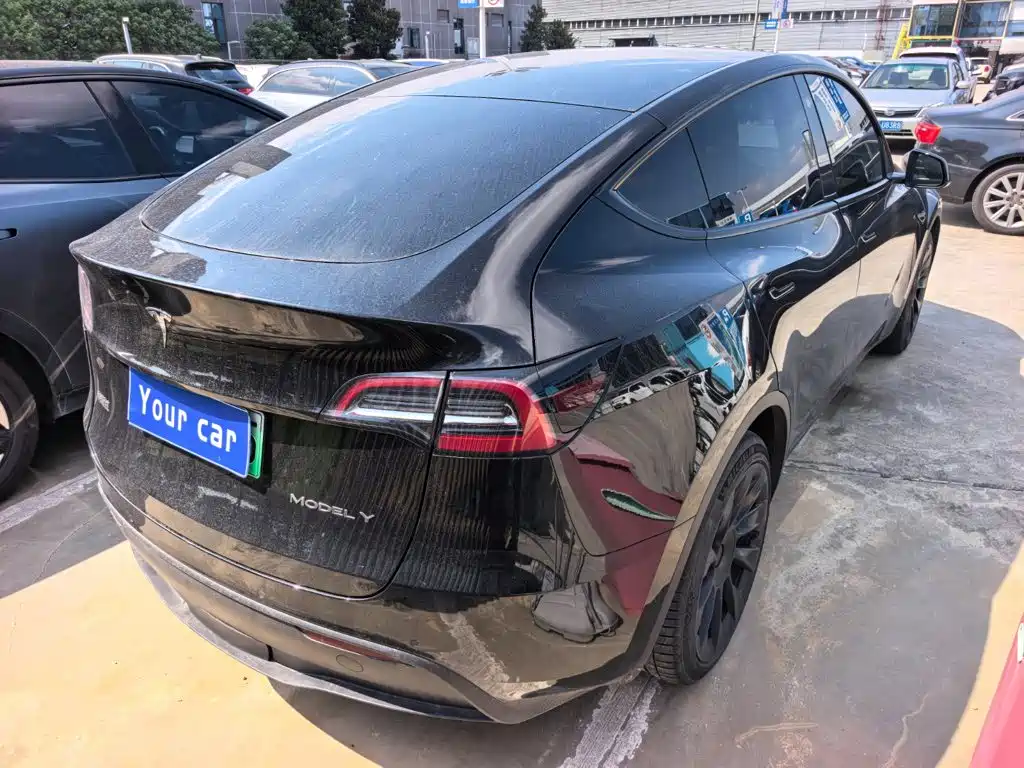 Tesla Model Y — миниатюра 6