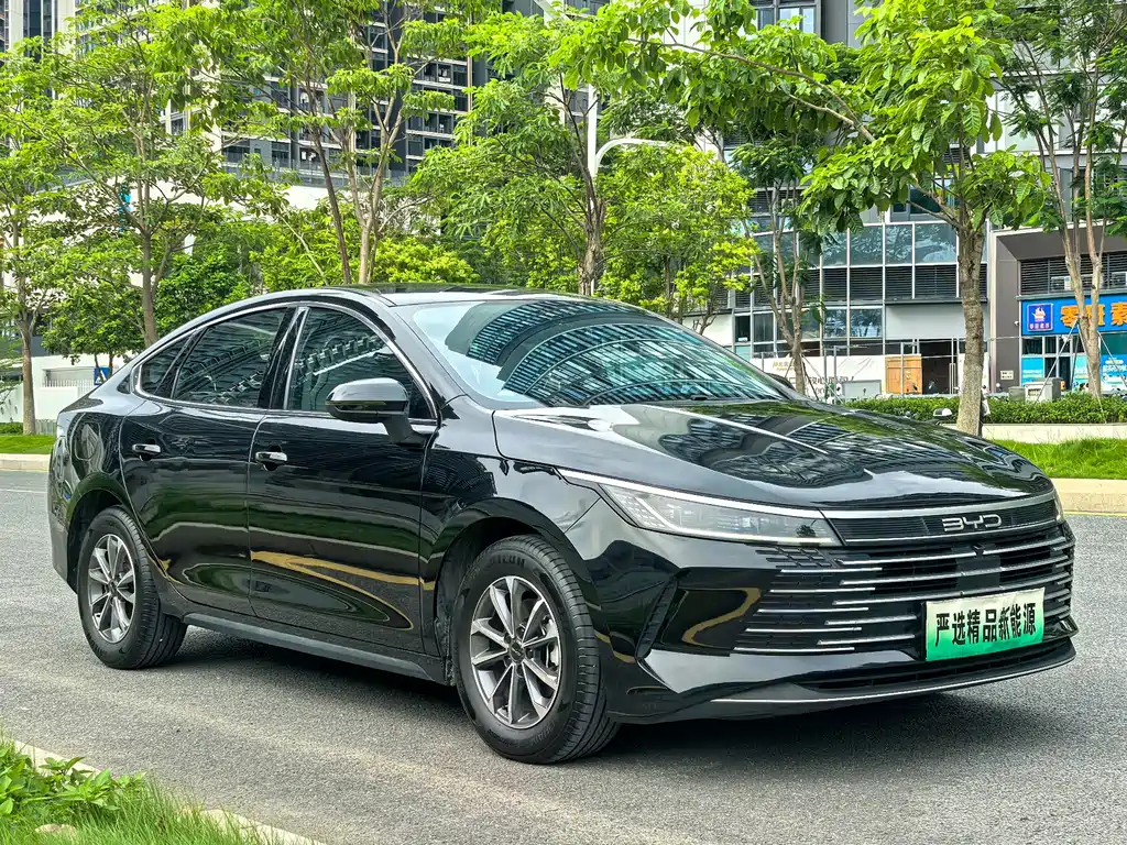 BYD Destroyer 05 2024 DM-i 55KM Luxury