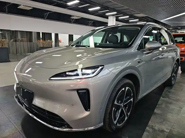 2025 Singulato