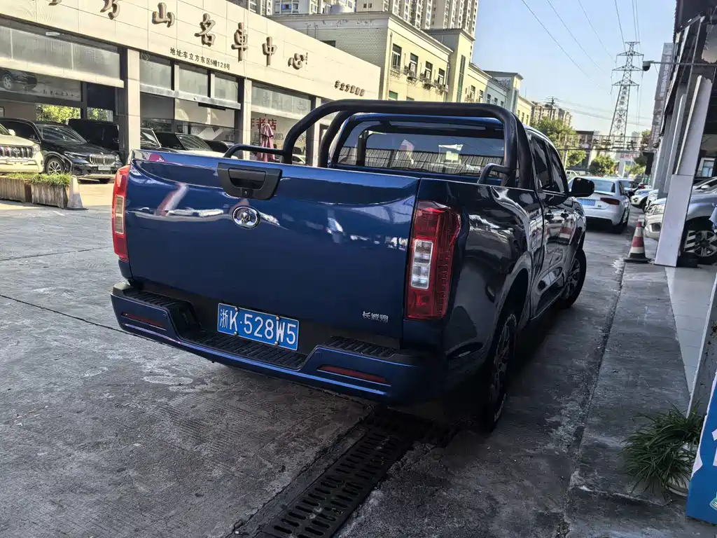 Great Wall Pao — миниатюра 7