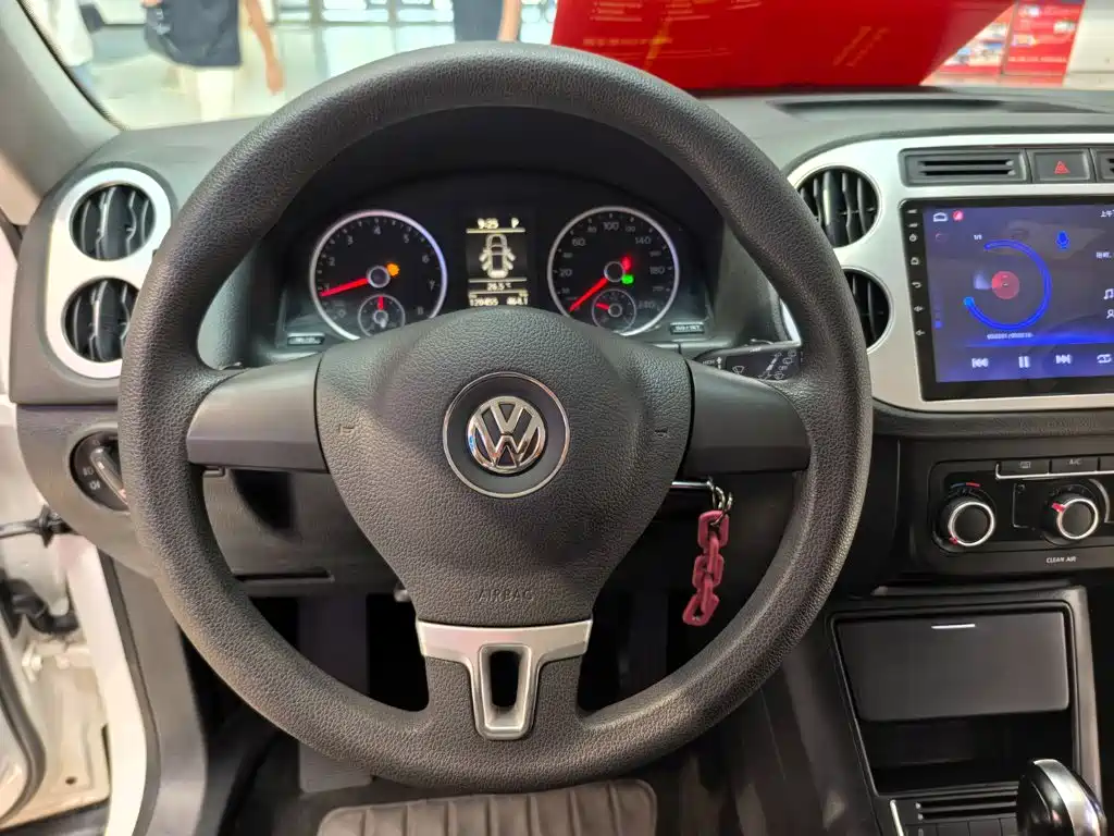 Volkswagen Tiguan 300TSI Auto 2WD Silk Road Elegant Edition, фото 12
