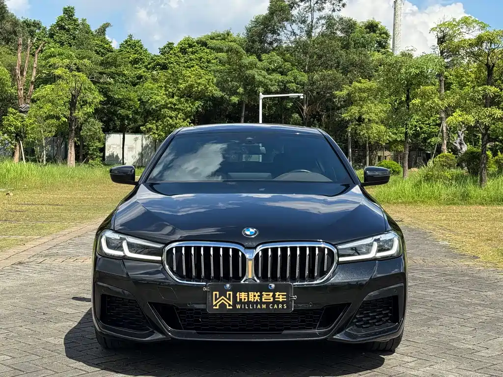BMW 5 SERIES