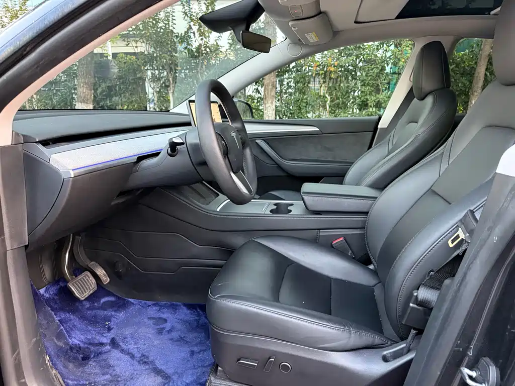 Tesla Model Y — миниатюра 4