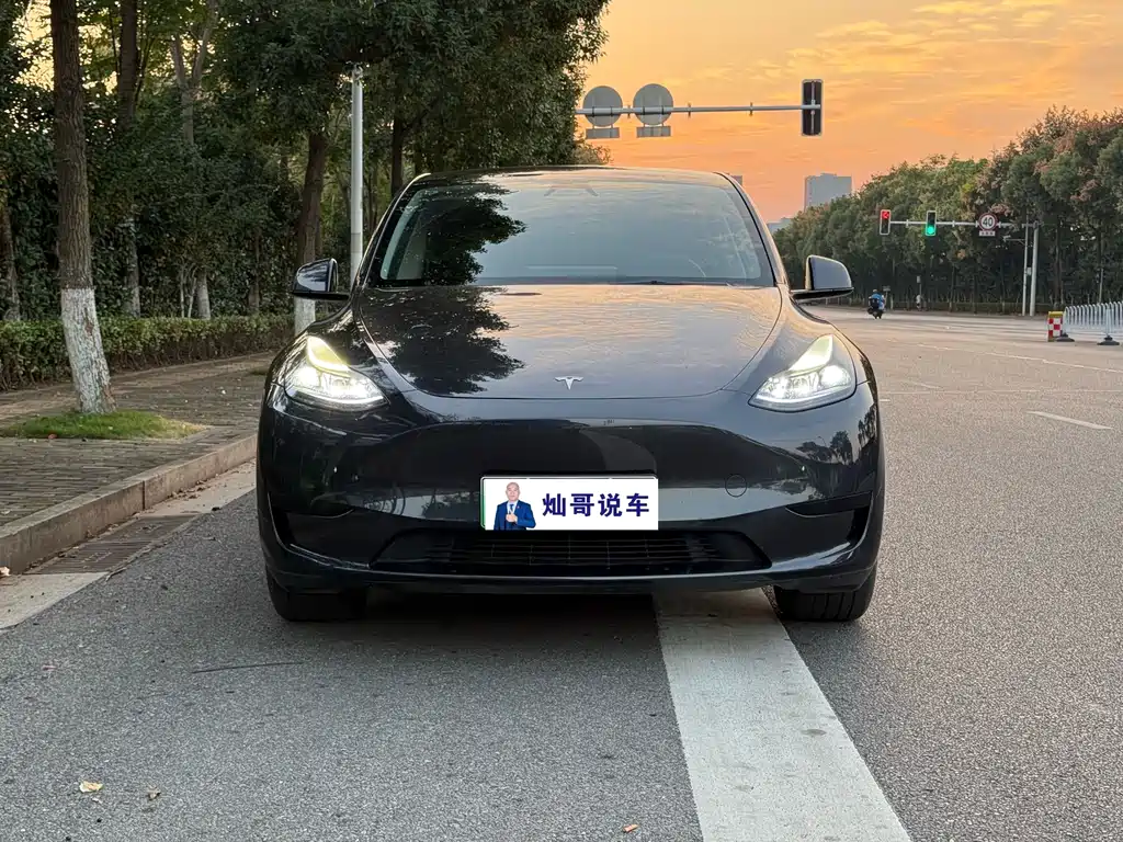 Tesla Model Y — миниатюра 2