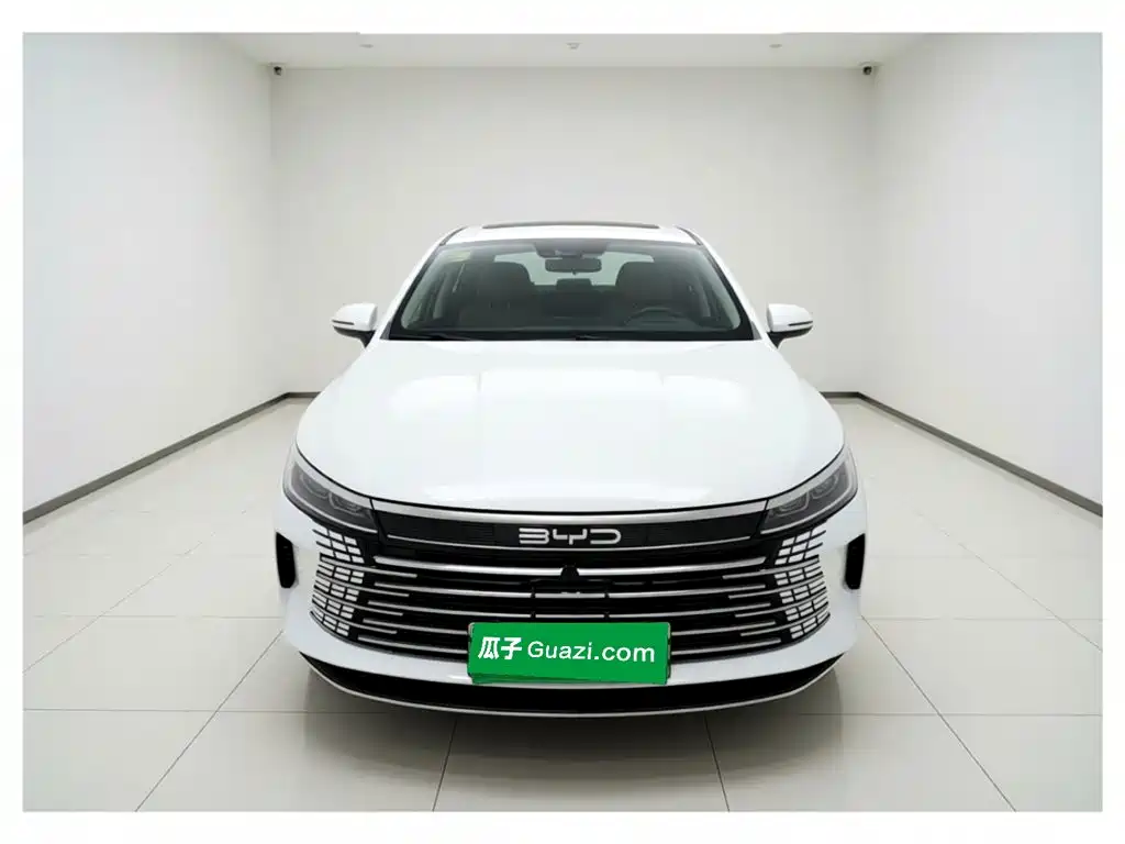 BYD Destroyer 05 — миниатюра 2