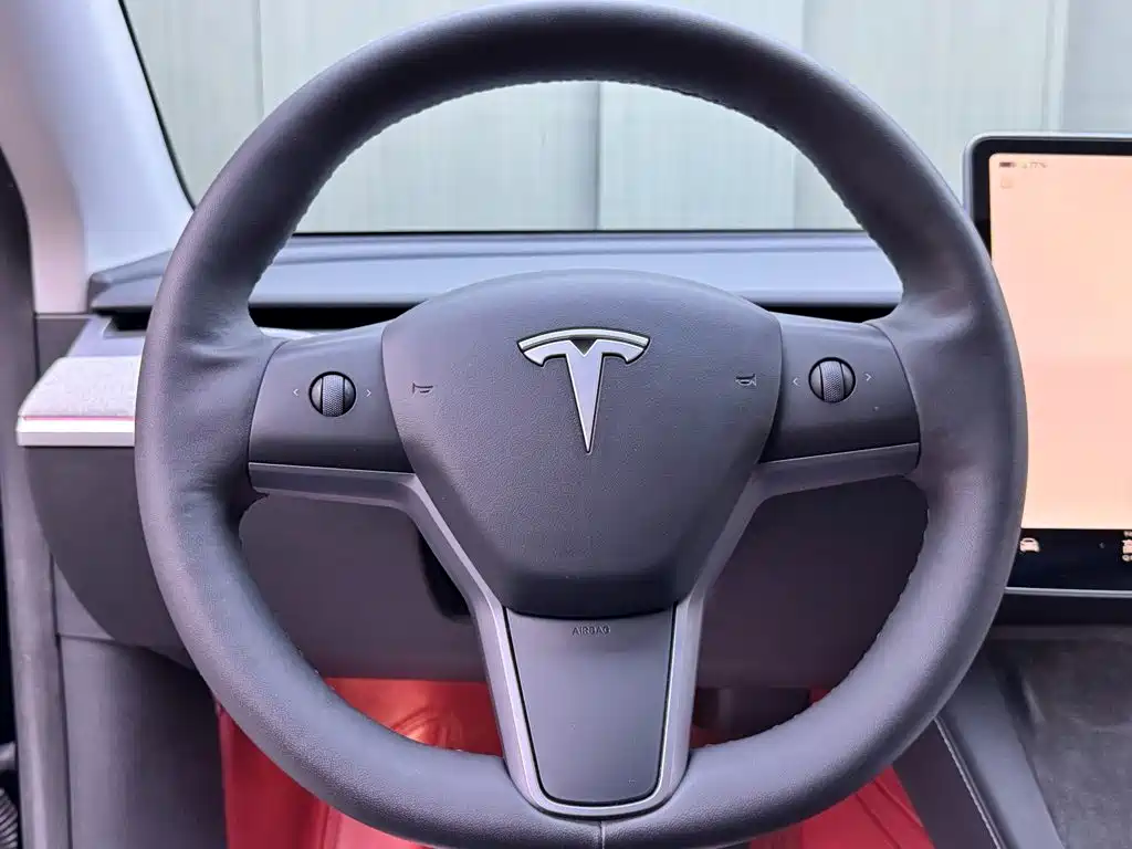 Tesla Model Y — миниатюра 12