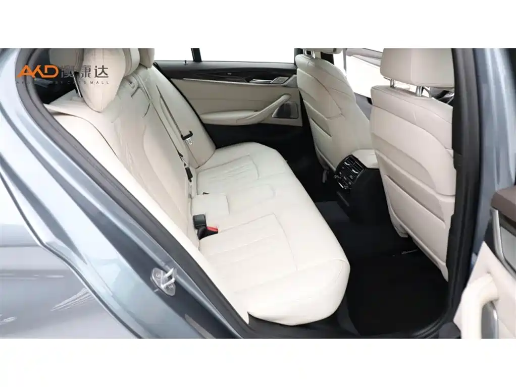 BMW 5 Series (Import) — миниатюра 8