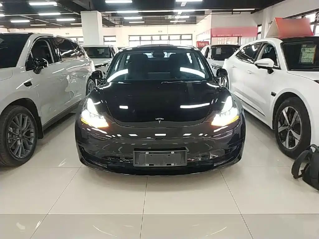 Tesla Model 3 — миниатюра 3