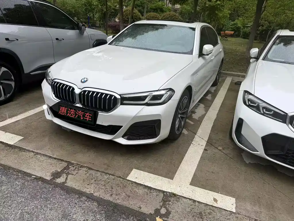 BMW 5 Series New Energy 2021