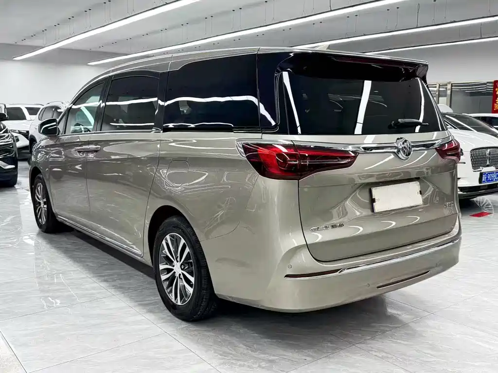 Buick GL8 — миниатюра 4