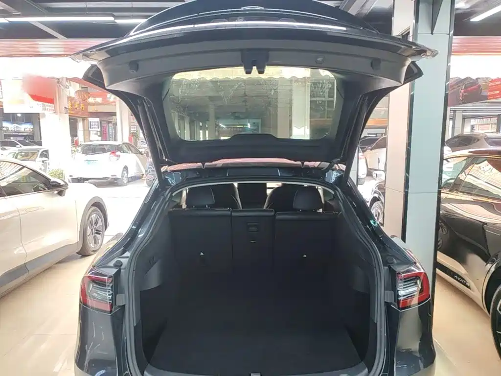 Tesla Model Y — миниатюра 19