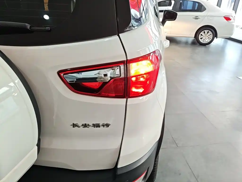 Ford Ecosport — миниатюра 8