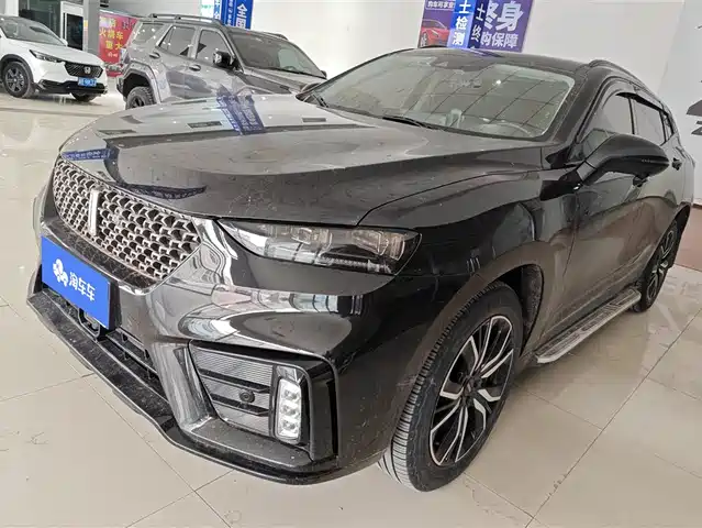 WEI PAI WEI BRAND VV7 2020