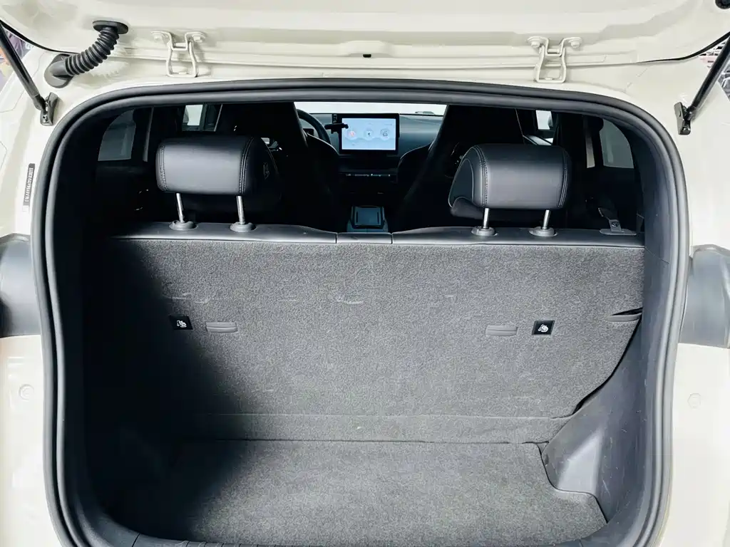 BYD Seagull 2023 Freedom