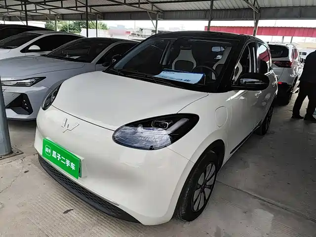 2024 Wuling Motors Binguo