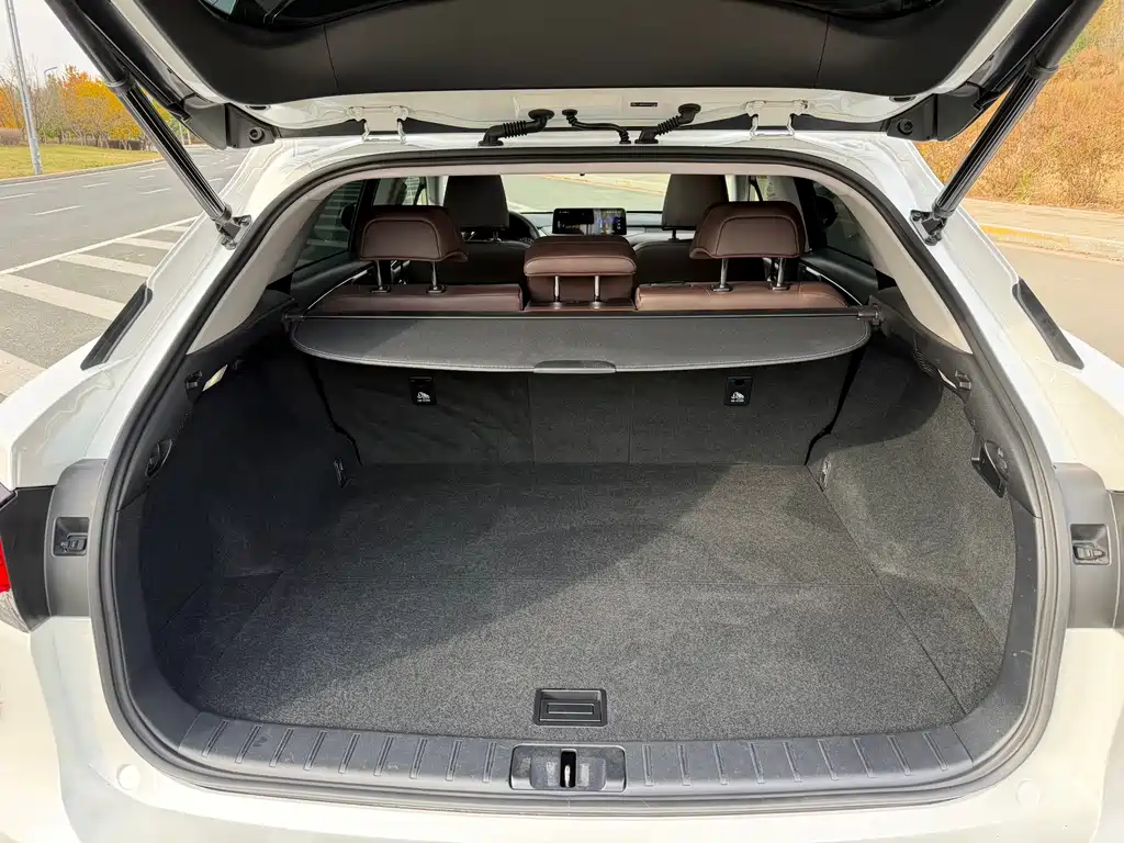 Lexus RX — миниатюра 16