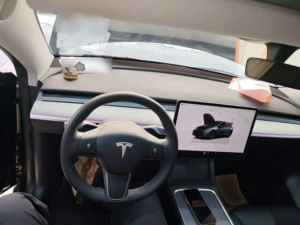 Tesla Model Y — миниатюра 10