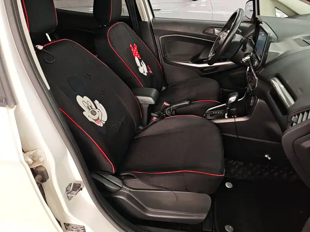 Ford Ecosport — миниатюра 25