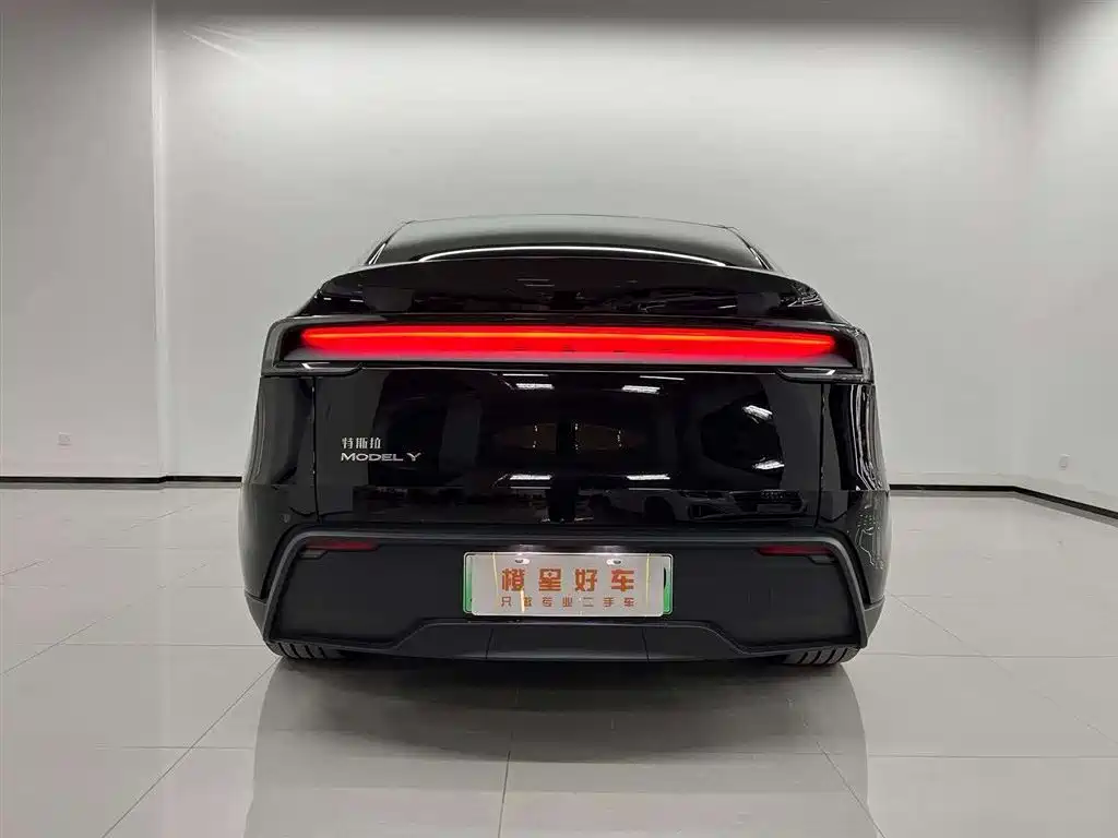 Tesla Model Y — миниатюра 5