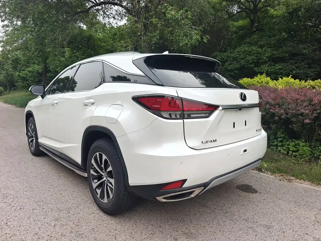 Lexus RX — миниатюра 6