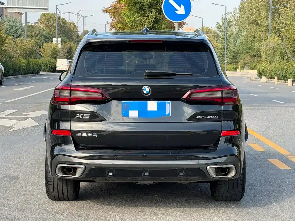 BMW X5 — миниатюра 8