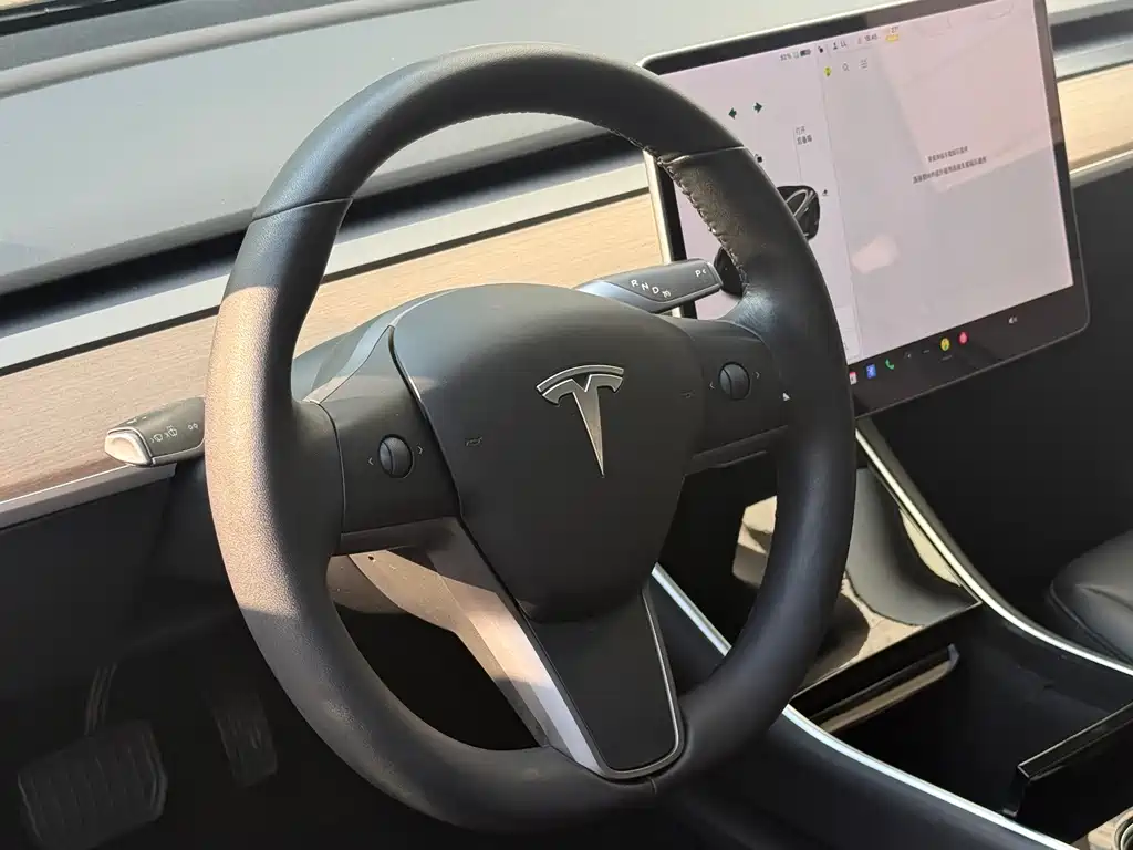 Tesla Model 3 — миниатюра 6