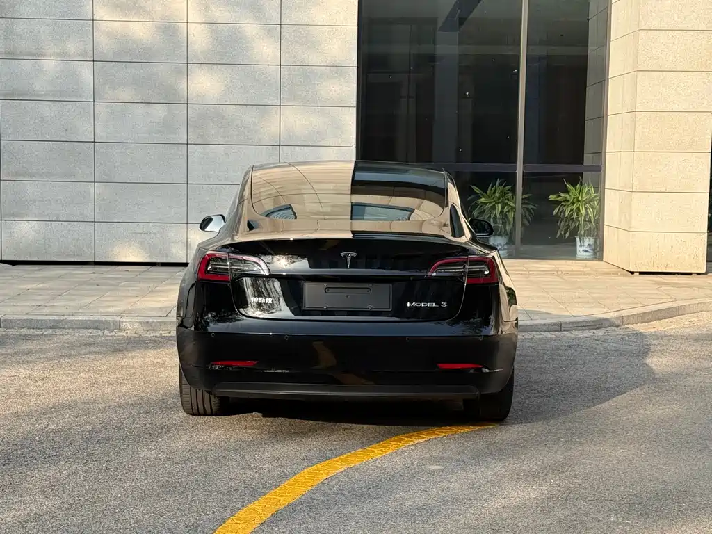 Tesla Model 3 — миниатюра 17
