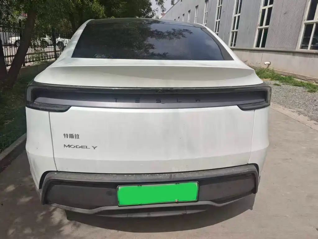 Tesla Model Y — миниатюра 6