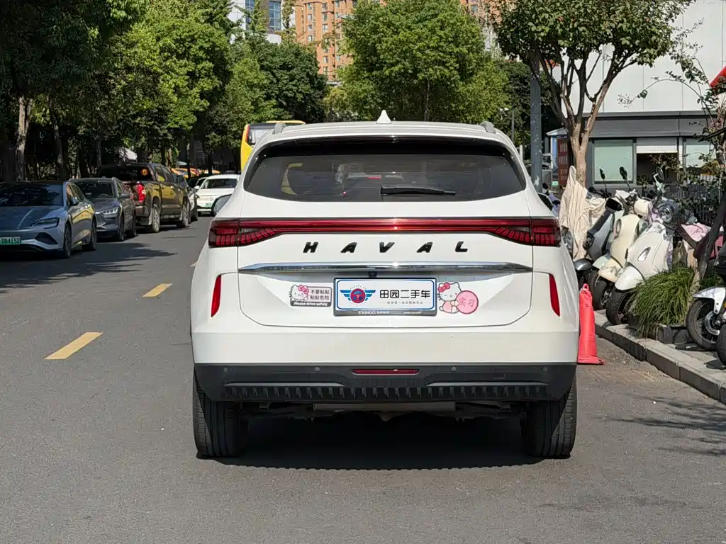 Haval H6 — миниатюра 5