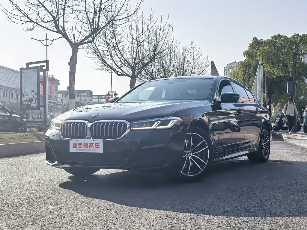 BMW 5 Series (Import) 2021