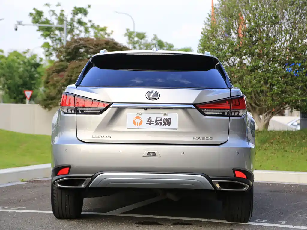 Lexus RX — миниатюра 21