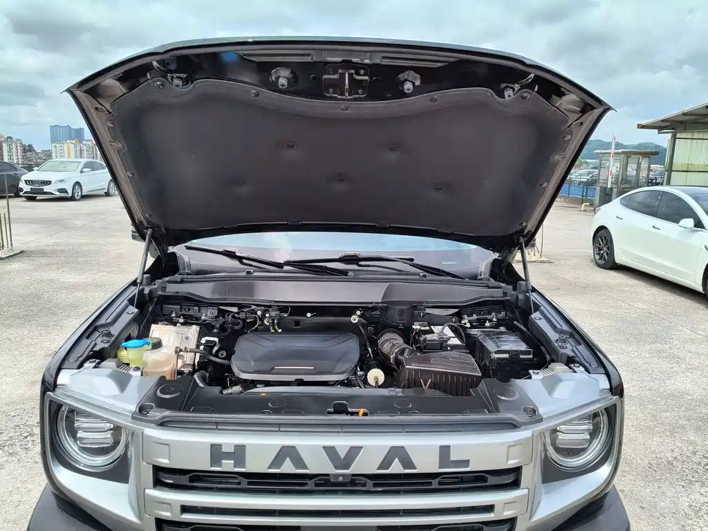 Haval Dargo 1.5T DCT Border Collie Edition, фото 27