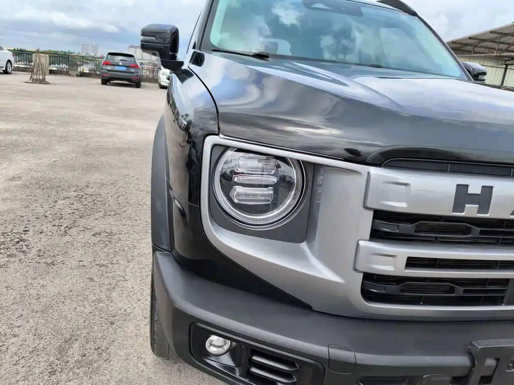 Haval Dargo 1.5T DCT Border Collie Edition, фото 28