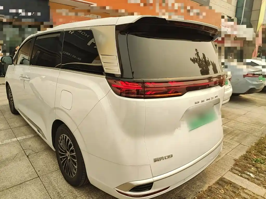 Denza Denza D9 — миниатюра 5
