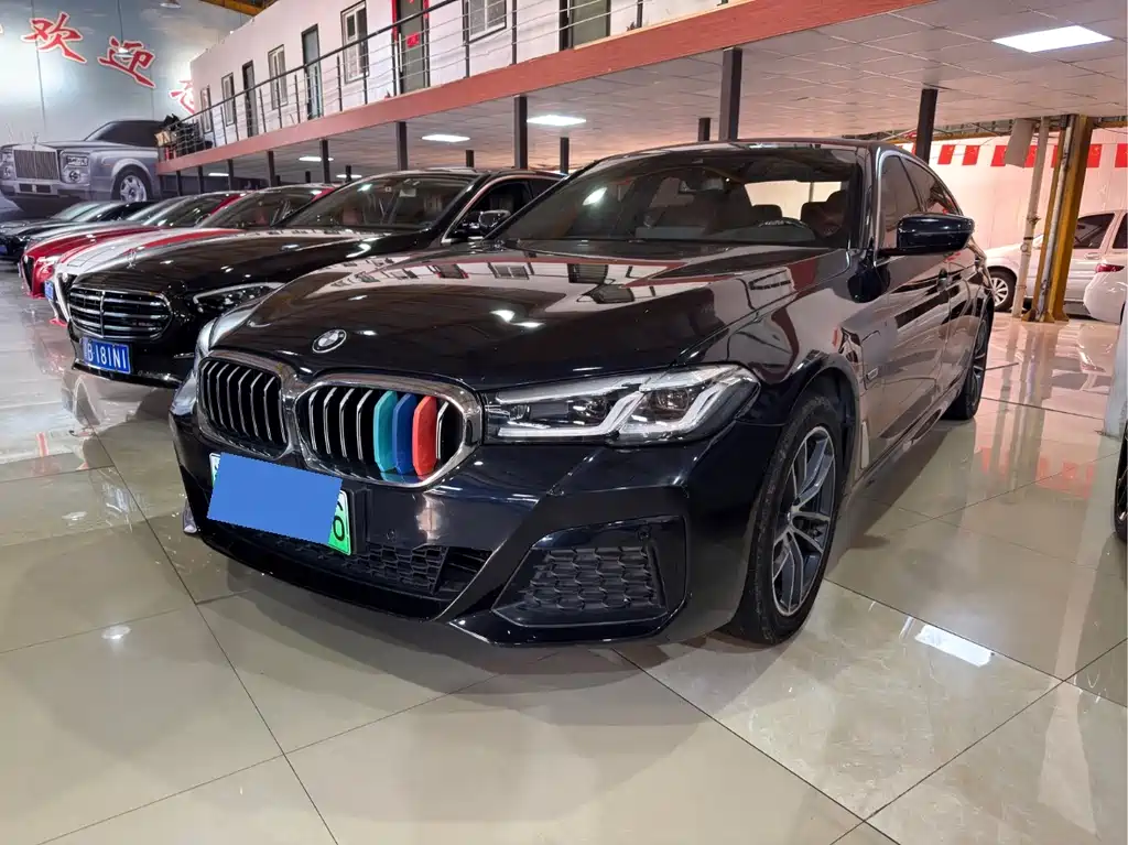 BMW 5 Series New Energy