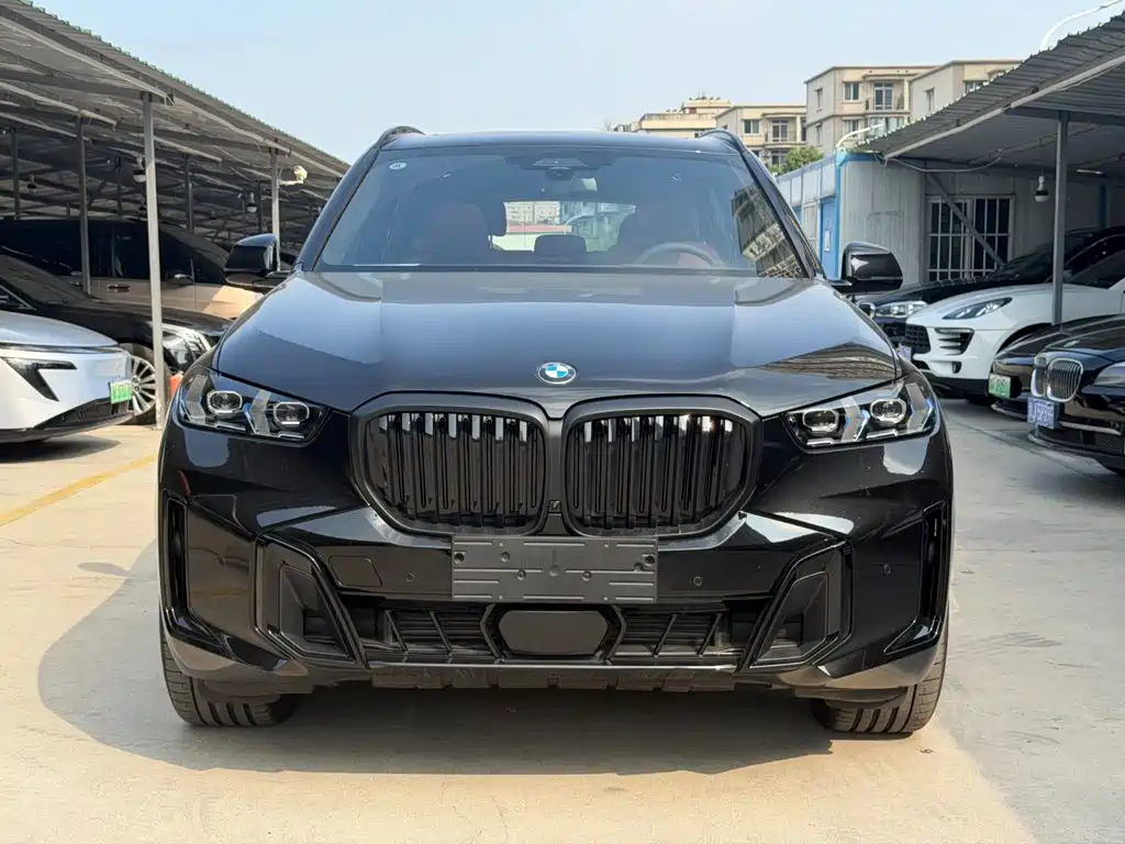 BMW X5 — миниатюра 2
