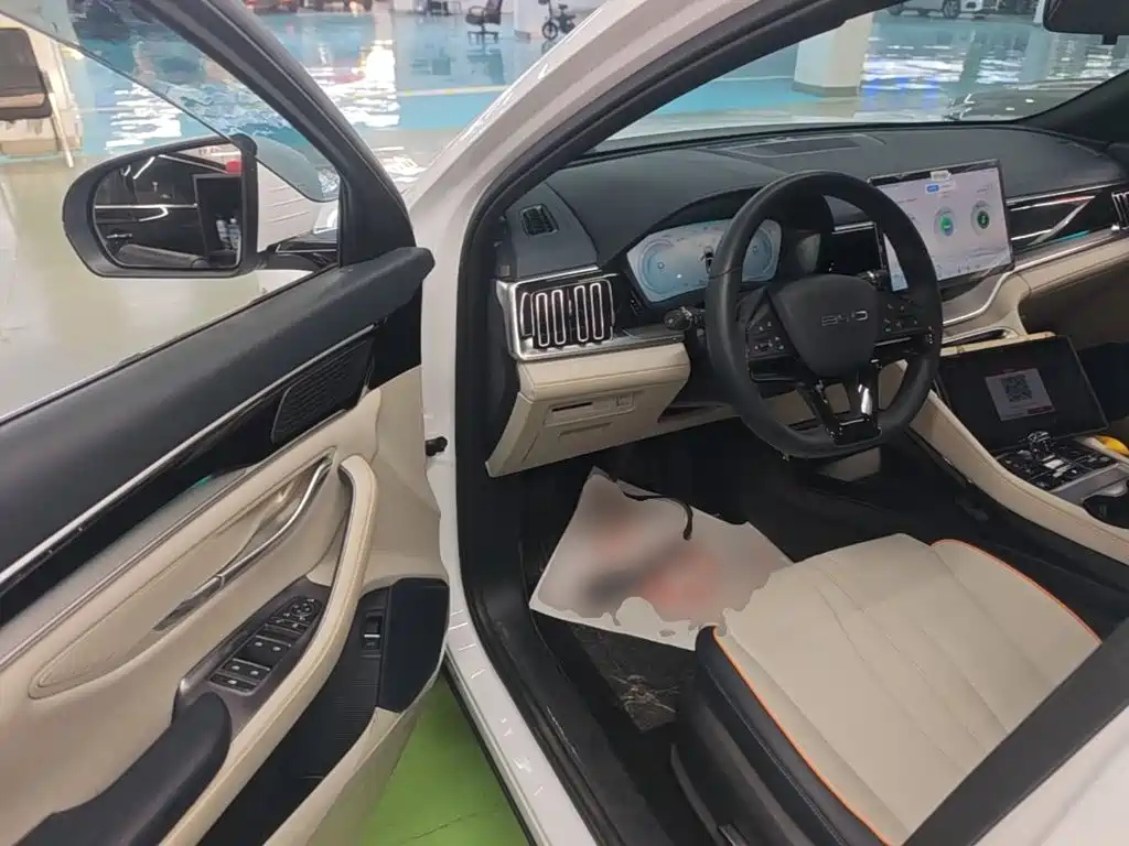 BYD PLUS New Energy — миниатюра 16